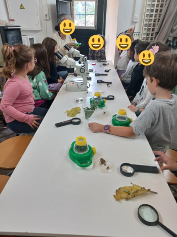 Escola Básica da Senhora da Glória